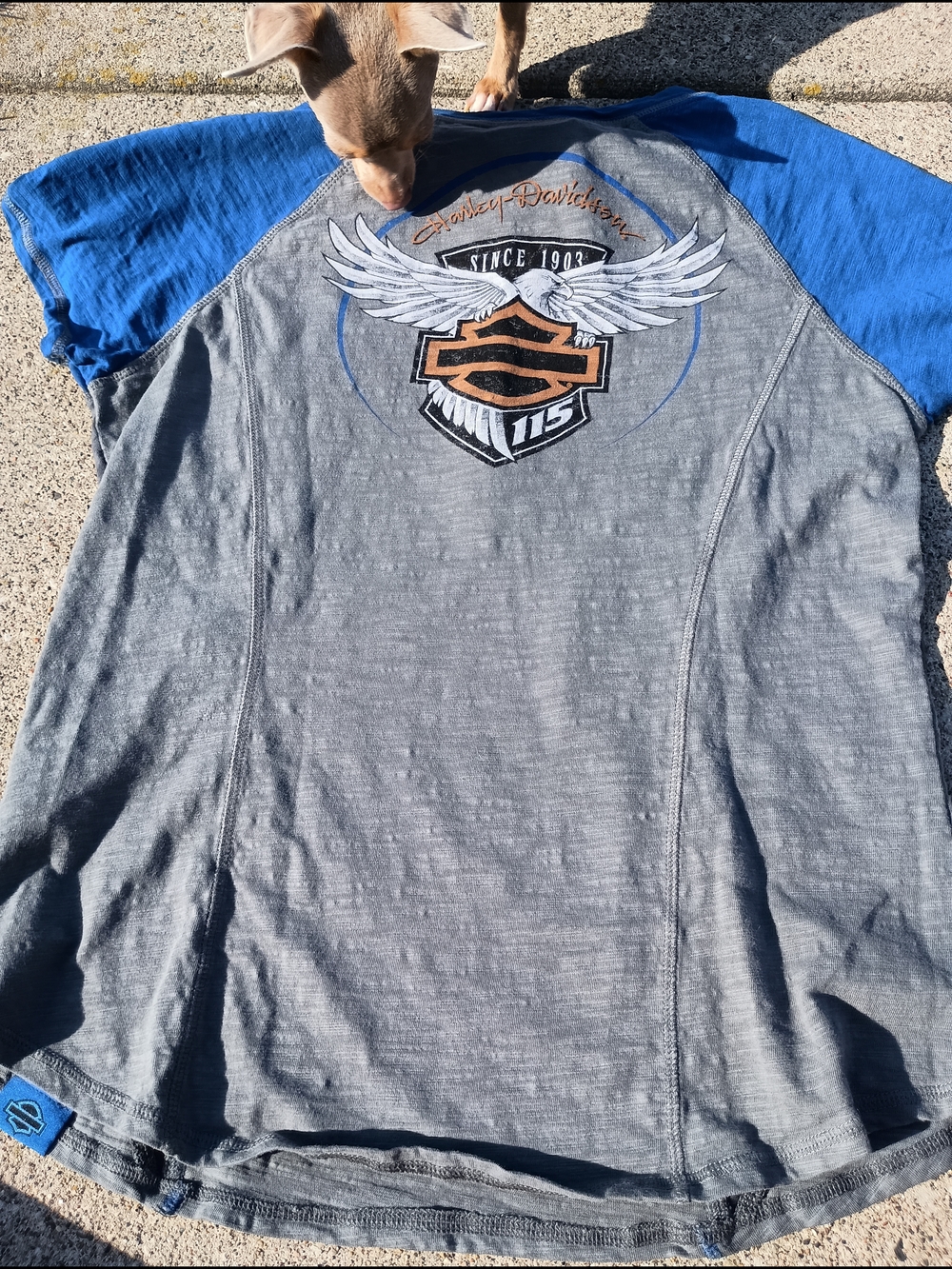 Harley-Davidson Women's Shirt